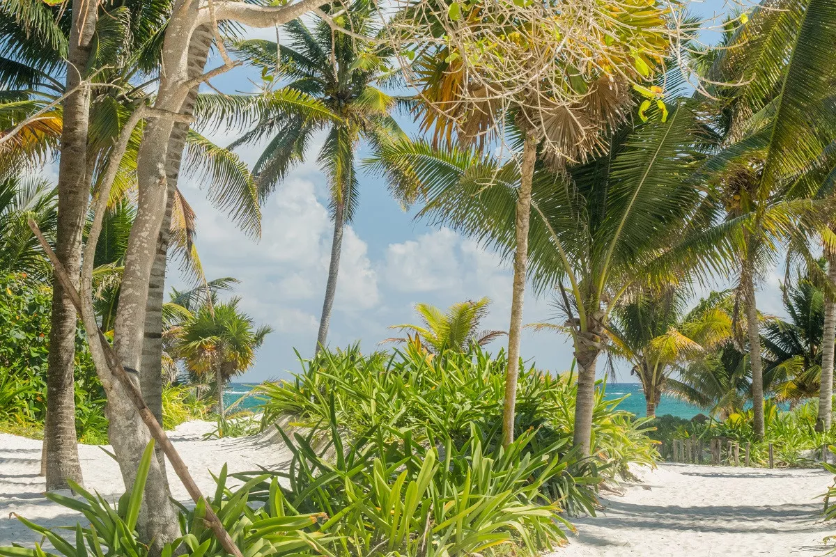 Destination Wedding em Tulum